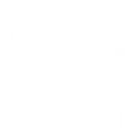 Лучшие тренеры